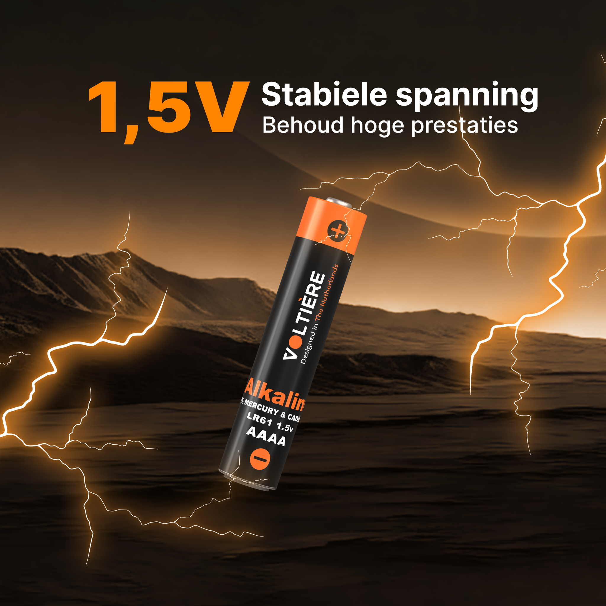 Voltière 10-Pack Alkaline AAAA Batterijen 1.5V - LR61 AAAA