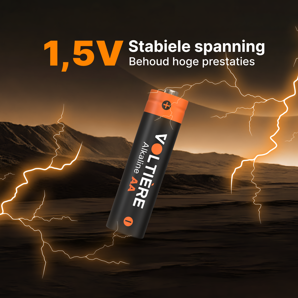 Voltière AA alkaline batterijen 1,5V LR06 – 80 stuks