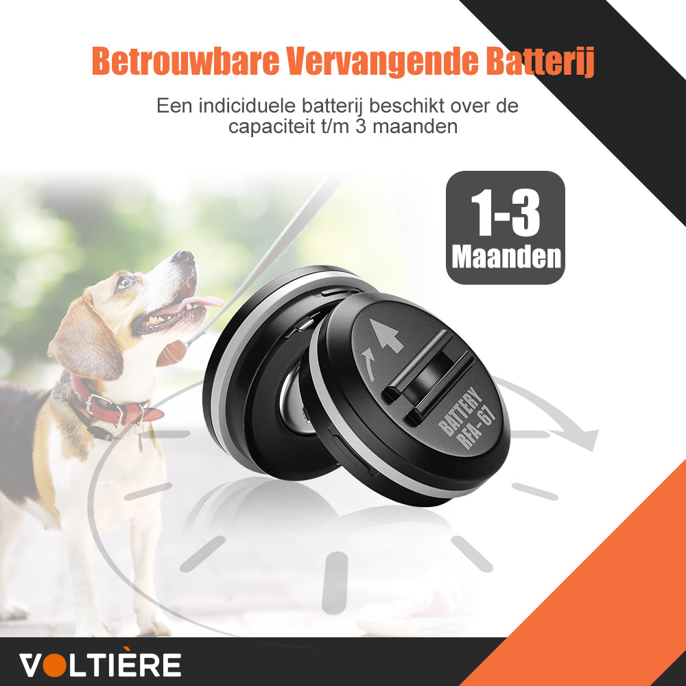 Voltière 10-pack 6v RFA-67 Batterij voor Elektrische Trainingshalsband voor Honden